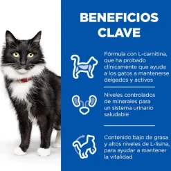Hill's Science Plan Sterilised Mature Pescado Oceánico en Salsa sobre para gatos New