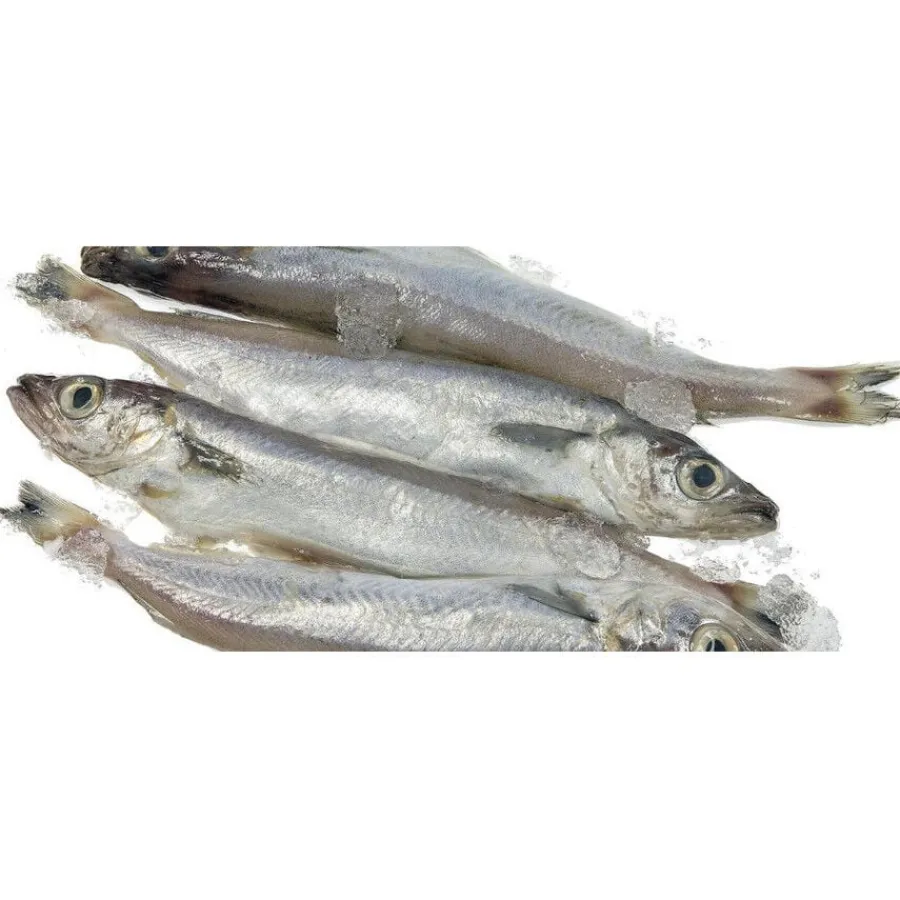 Hobbitalf La Pescadería Lirios para perros Hot
