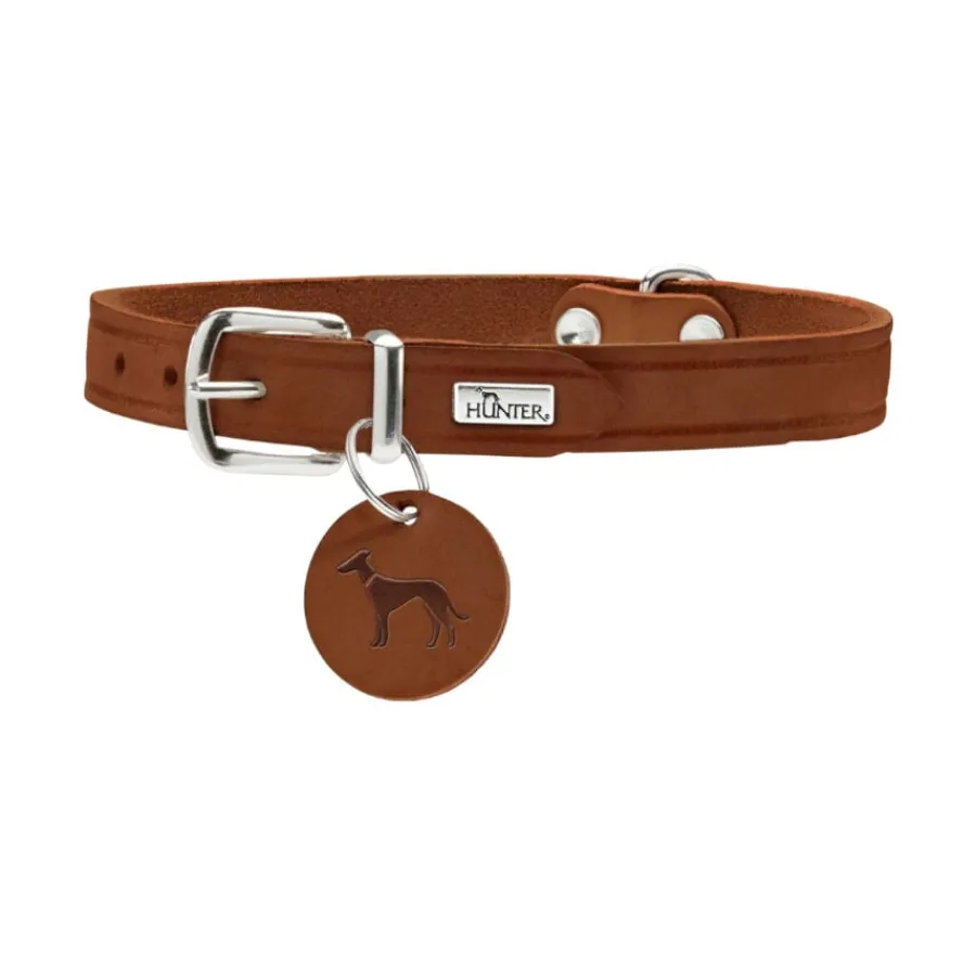Hunter Aalborg Collar de Cuero marrón para perros Online