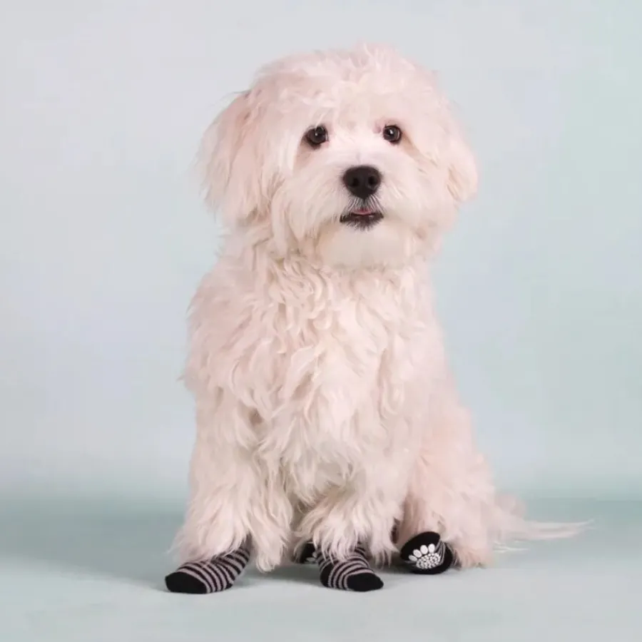Flamingo Karlie Calcetines Negro y Gris para perros Hot