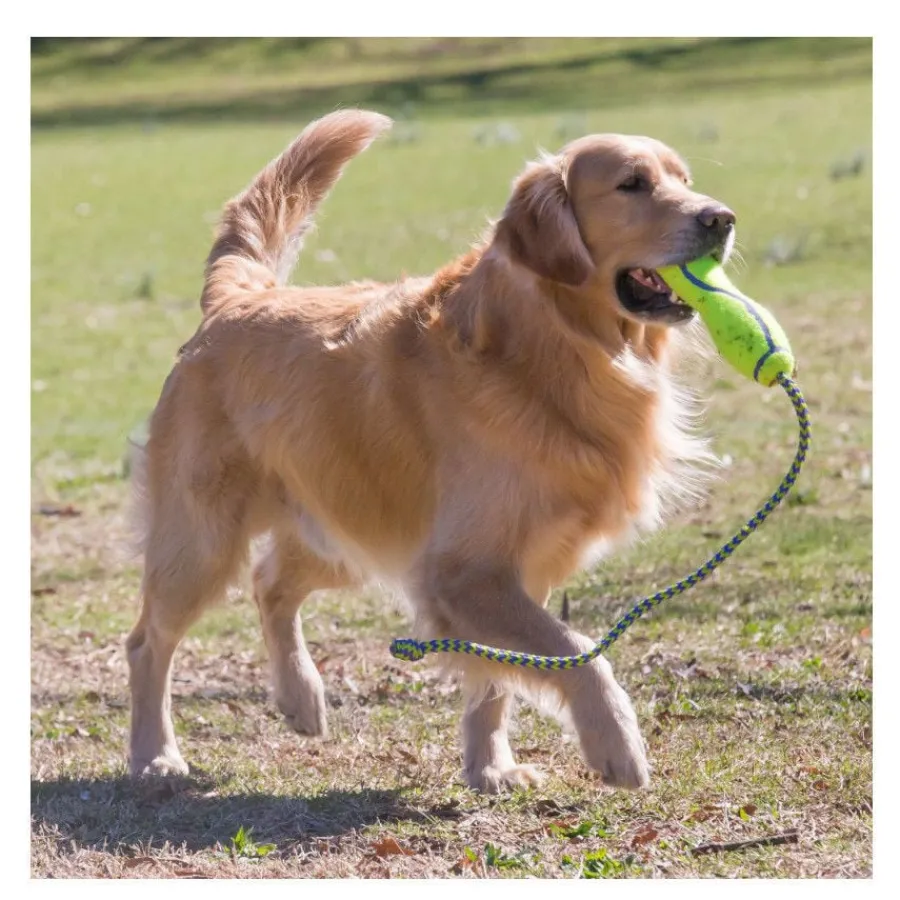 Kong Air Dog Squeaker Stick de juguete para perros Sale