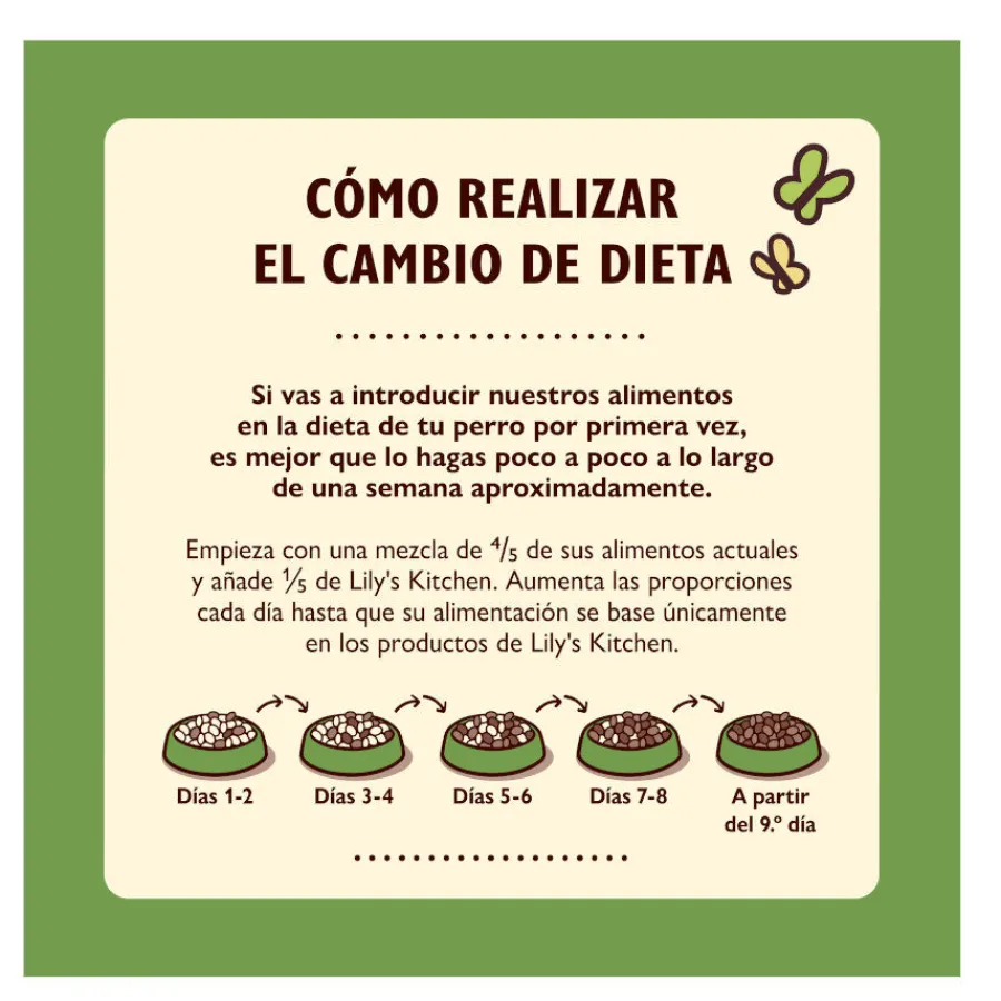 Lily's Kitchen Adult Cordero pienso para perros Hot