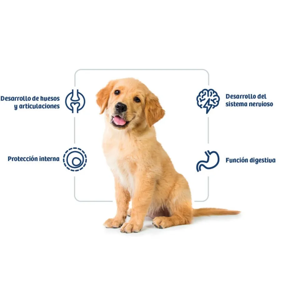 Nath Puppy Medium Maxi Pollo Pienso para Perros Outlet