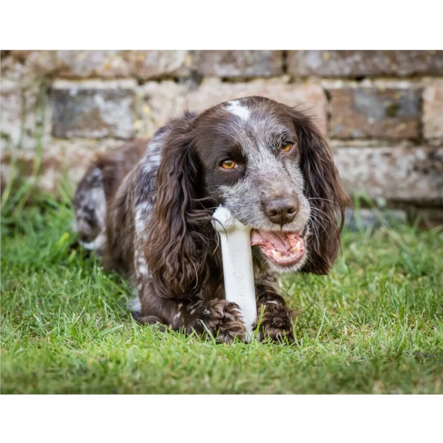 Nylabone Extreme Chew Pollo Hueso Mordedor para perros Online