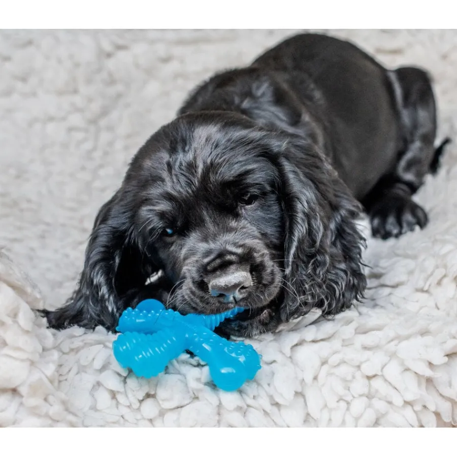 Nylabone Hueso X Mordedor Sabor a Carne para cachorros New