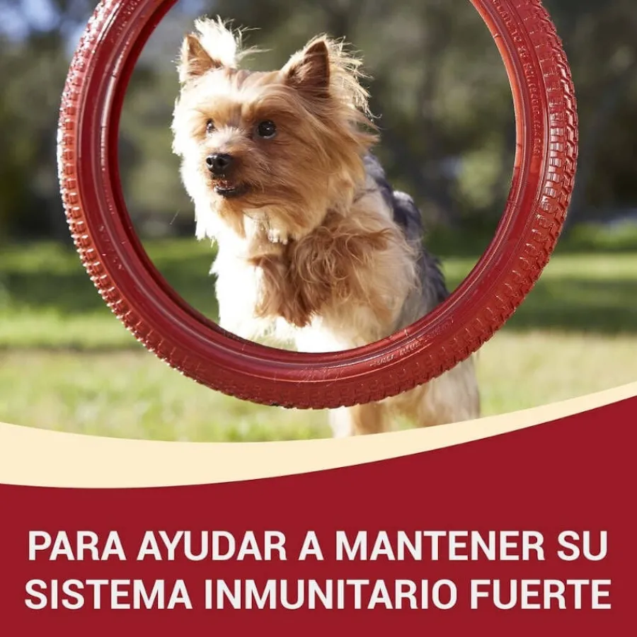 Purina One One Adult Mini Small Pollo y Cordero en Salsa sobre para perros Discount
