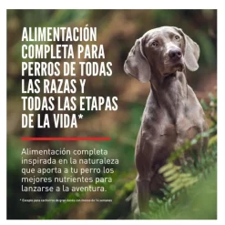 Orijen Fit&Trim pienso para gatos Discount