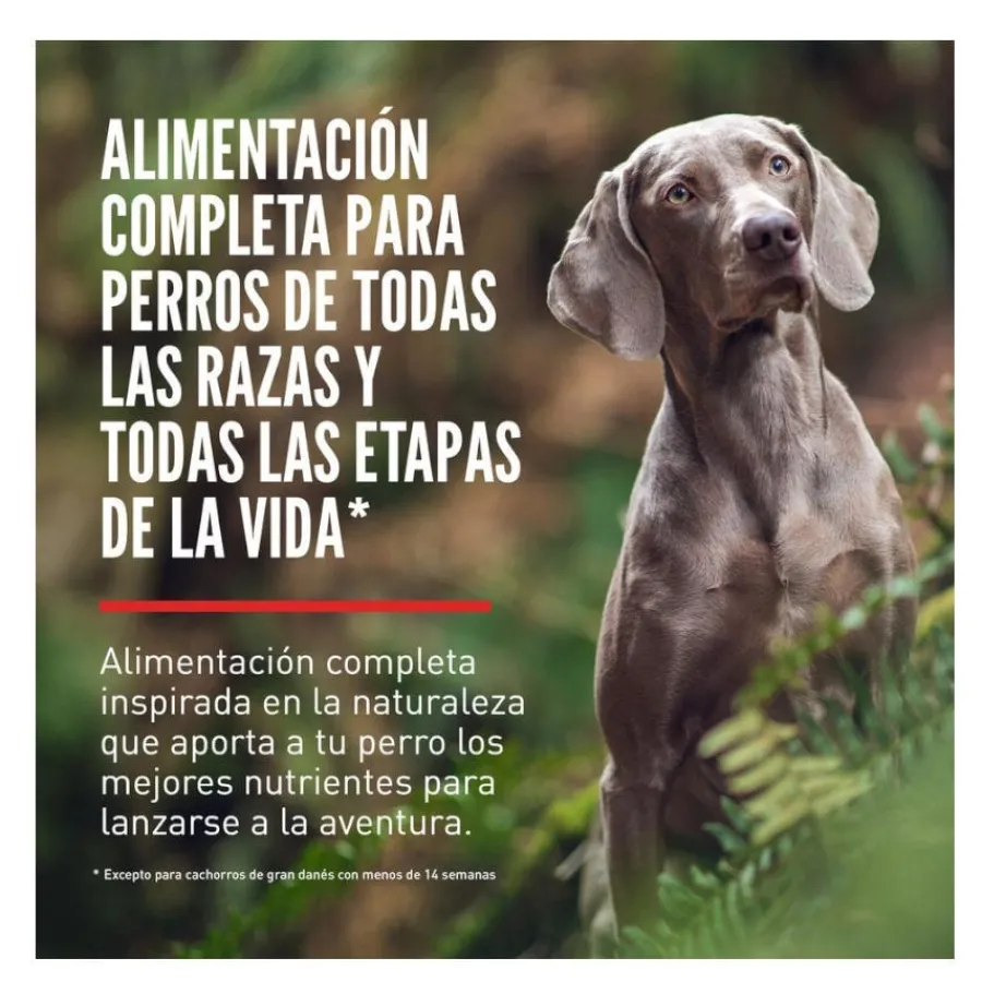 Orijen Original pienso para perros Clearance
