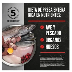Orijen Regional Red pienso para gatos y gatitos Outlet