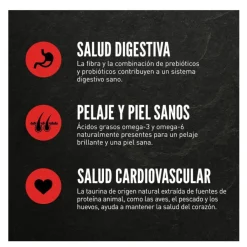 Orijen Regional Red pienso para gatos y gatitos Outlet