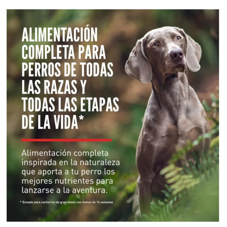 Orijen Regional Red pienso para perros Sale
