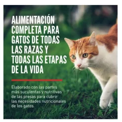 Orijen Six Fish pienso para gatos y gatitos Sale
