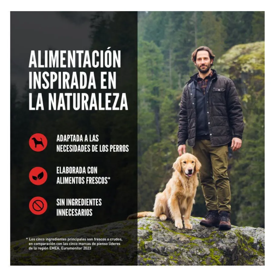 Orijen Small Breed pienso para perros
