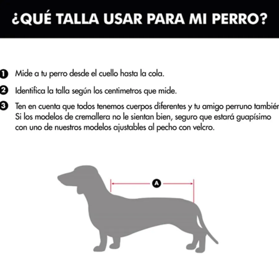 Outech Apolo Chubasquero Rojo para perros Sale