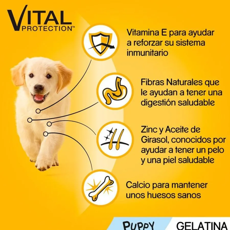 Pedigree Pollo y Buey con Arroz Gelatina en Bolsita para Cachorros - Multipack New