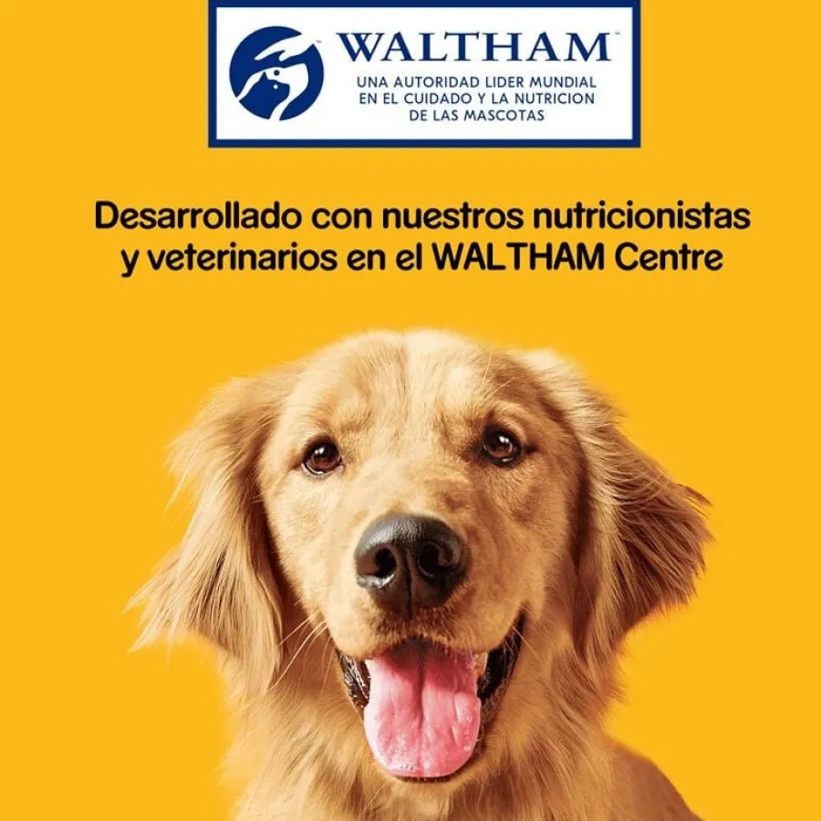 Pedigree Tasty Mini Snacks Sabor Buey y Ave para Perros