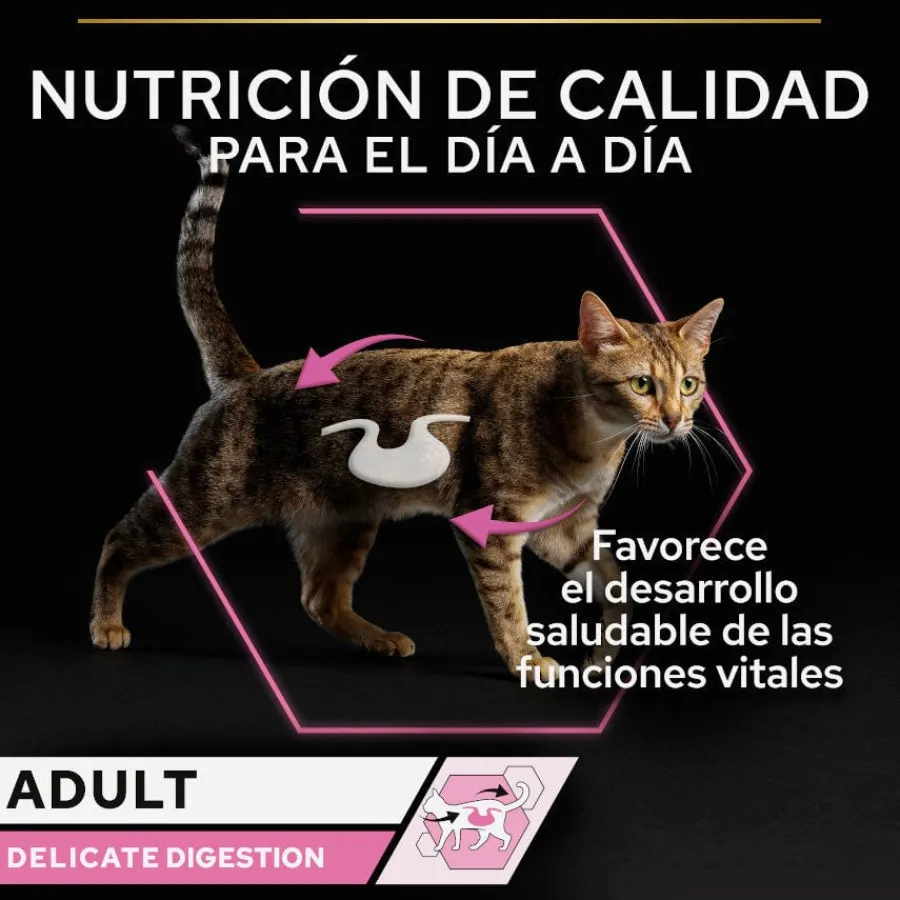 Pro Plan Adult Delicate Digestion Pavo y Pescado del Océano en Salsa sobre para gatos - Multipack Online
