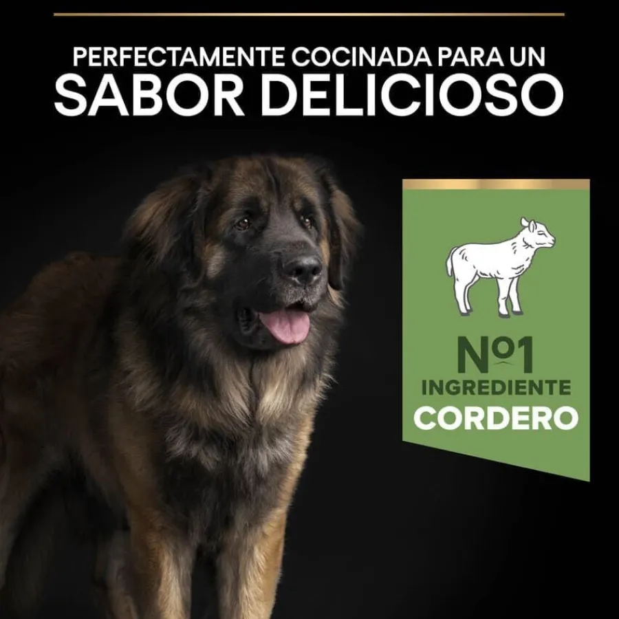 Pro Plan Adult Large Robust Digestión Cordero pienso para perros Discount