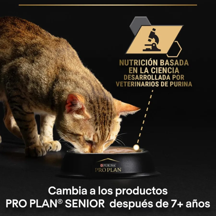 Pro Plan Adult Maintenance Terrina rico en pollo para gatos Sale