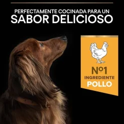 Pro Plan Adult Small y Mini Pollo pienso para perros New
