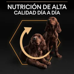 Pro Plan Adult Small y Mini Pollo pienso para perros New