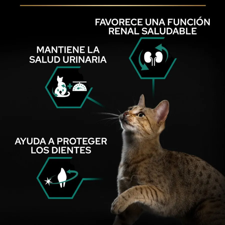 Pro Plan Adult Sterilized Salmón Pienso para gatos Clearance