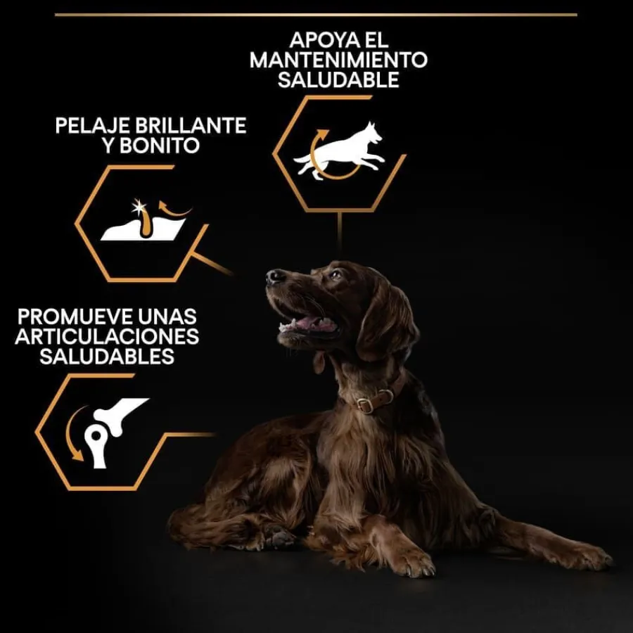 Pro Plan Large Athletic Adult Pollo pienso para perros Discount