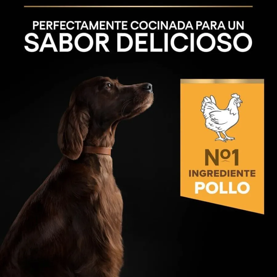 Pro Plan Large Athletic Adult Pollo pienso para perros Discount