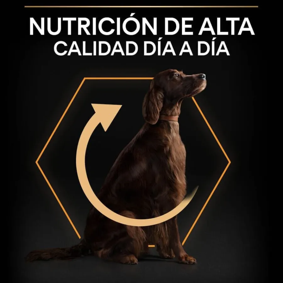 Pro Plan Large Athletic Adult Pollo pienso para perros Discount