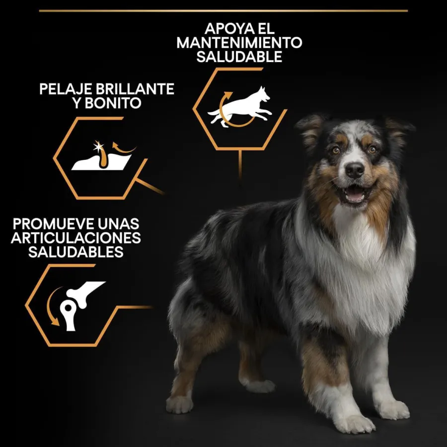 Pro Plan Medium Adult Pollo pienso para perros Outlet