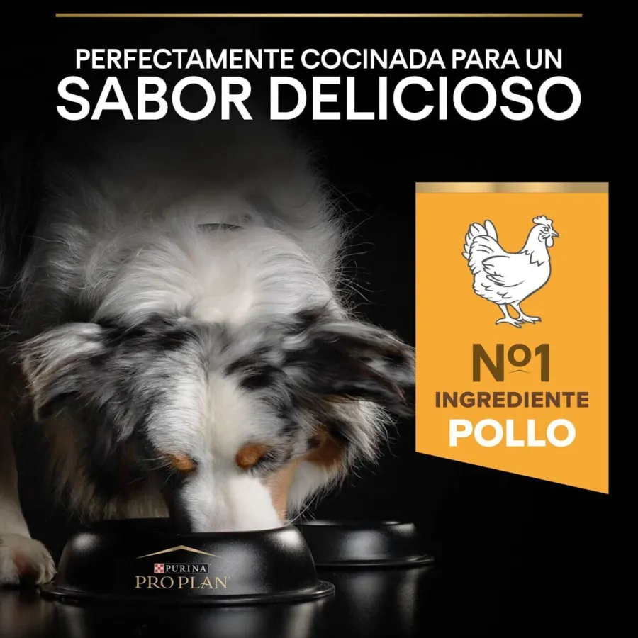 Pro Plan Medium Adult Pollo pienso para perros Outlet