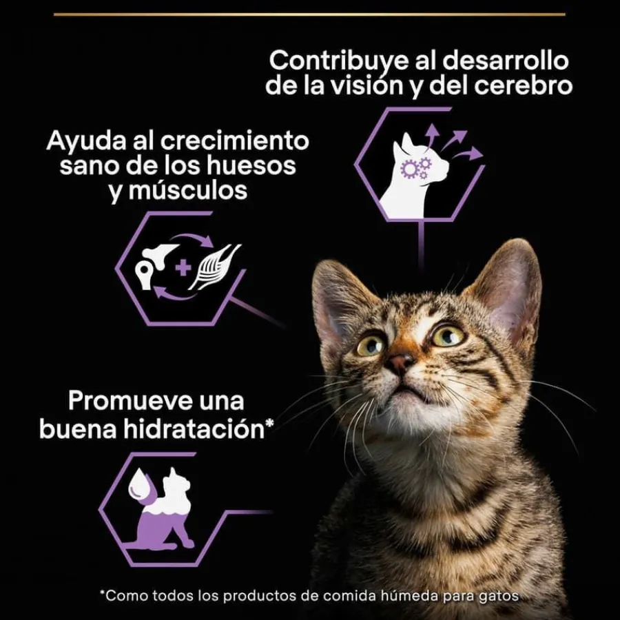 Pro Plan NutriSavour Feline Kitten Pavo en salsa sobre para gatitos Clearance