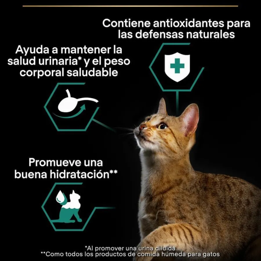 Pro Plan Sterilised Maintenance sobre con Buey en salsa para gatos Hot