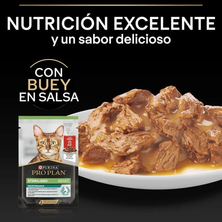 Pro Plan Sterilised Maintenance sobre con Buey en salsa para gatos Hot