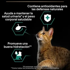 Pro Plan Sterilised Maintenance sobre con Pollo en salsa para gatos Best