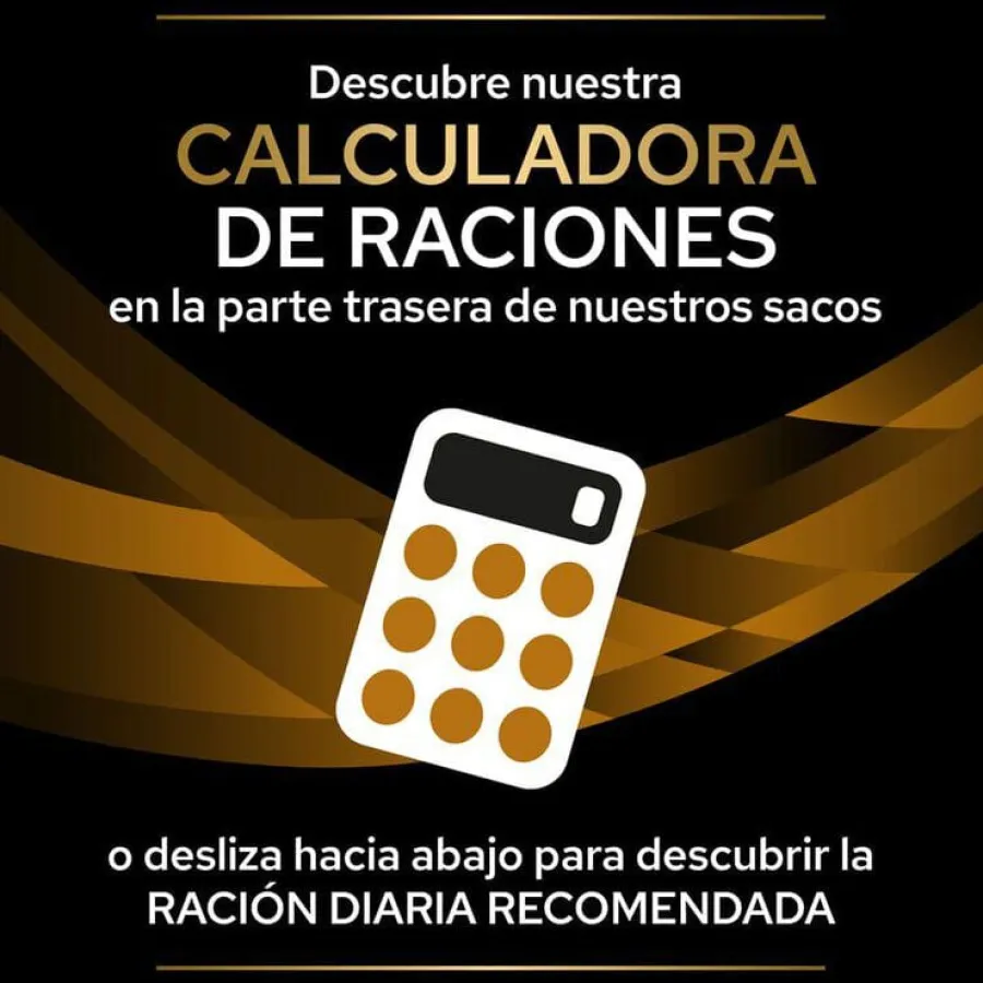 Pro Plan Veterinary Diets Renal Function salmón sobre para gatos New