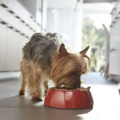 Purina One Adult Mini Weight Control Sterilised Pavo y Arroz pienso para perros Outlet