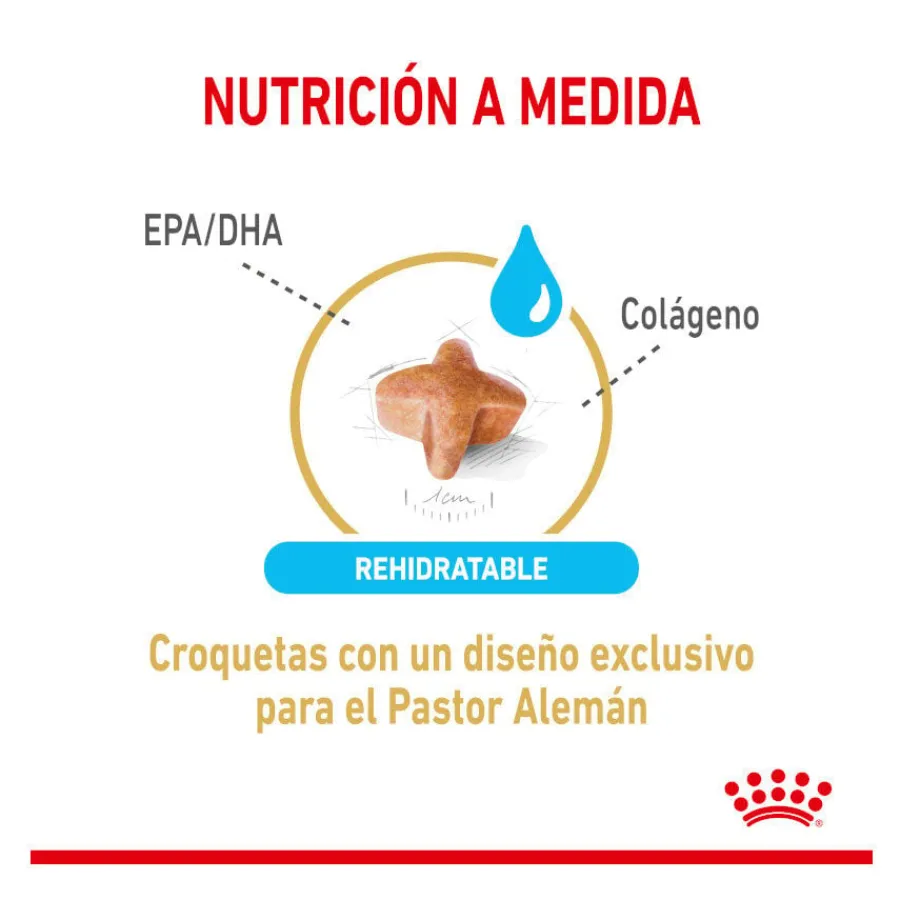 Royal Canin Adult 5+ Pastor Alemán pienso para perros Discount