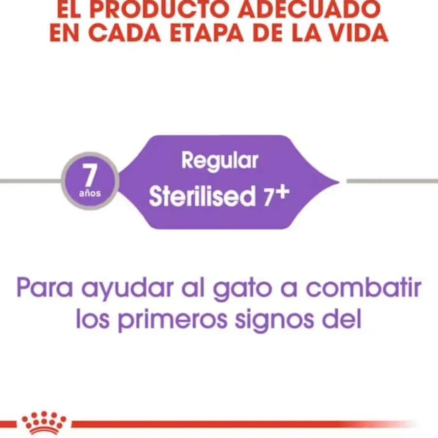 Royal Canin Adult 7+ Regular Sterilised pienso para gatos Sale