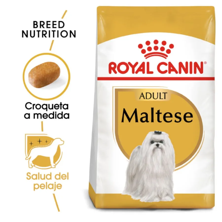 Royal Canin Adult Bichón Maltés pienso para perros Discount