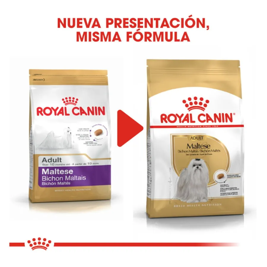 Royal Canin Adult Bichón Maltés pienso para perros Discount