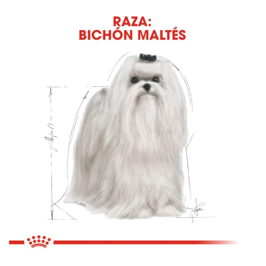 Royal Canin Adult Bichón Maltés pienso para perros Discount
