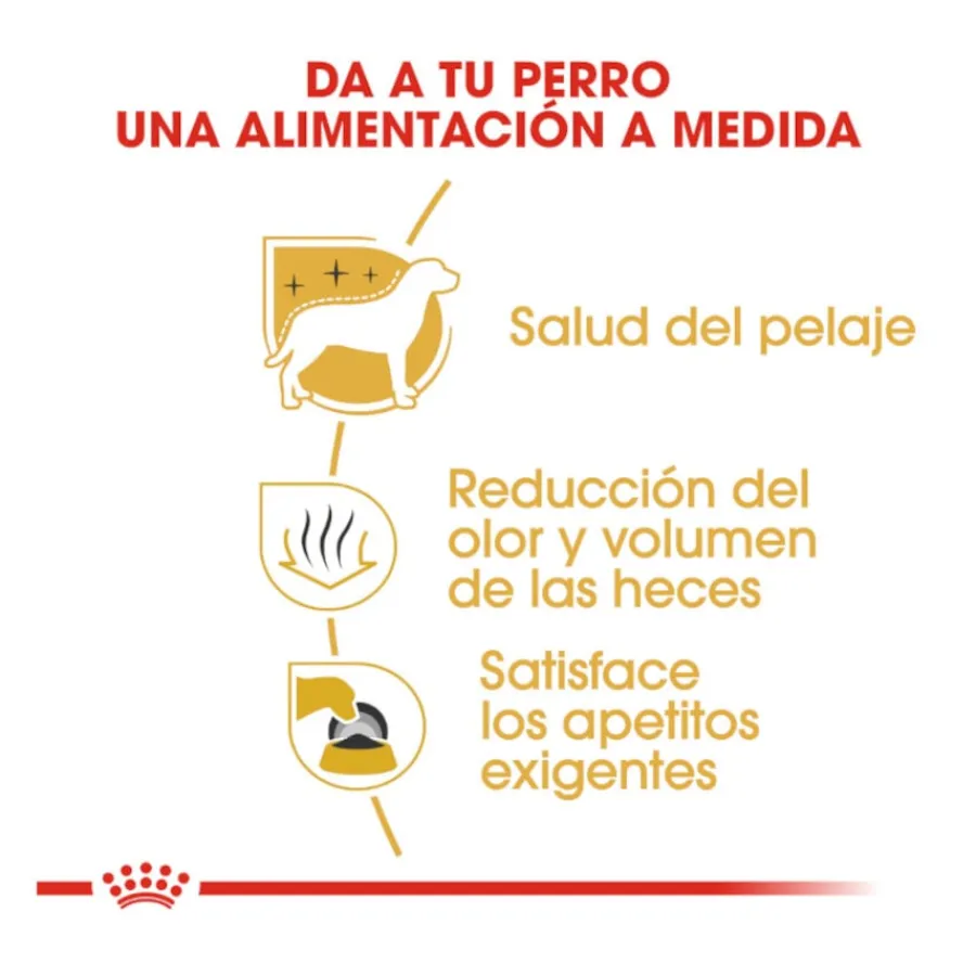 Royal Canin Adult Bichón Maltés pienso para perros Discount