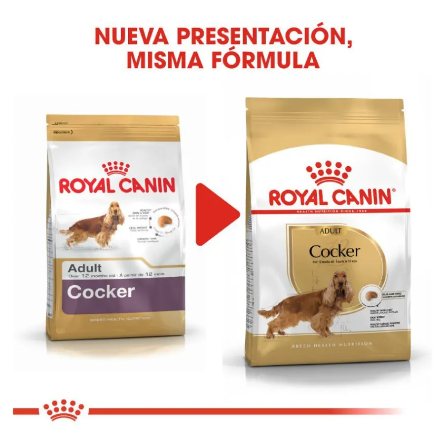 Royal Canin Adult Cocker pienso para perros New