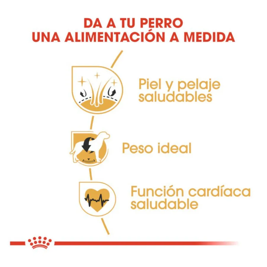 Royal Canin Adult Cocker pienso para perros New