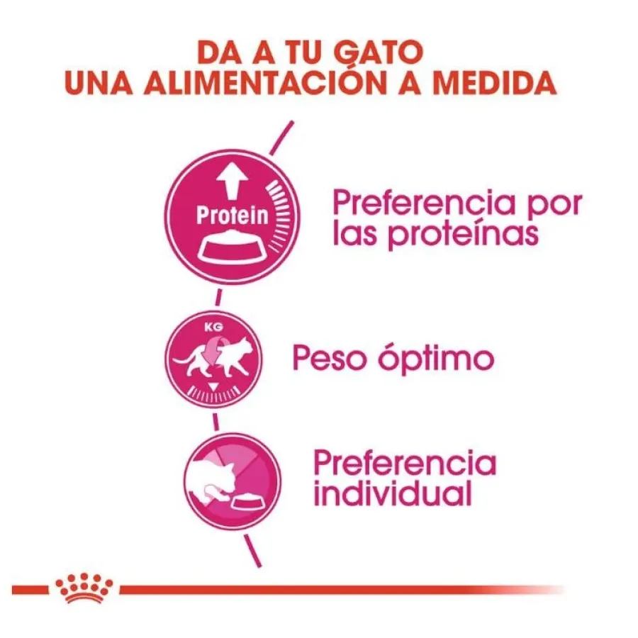 Royal Canin Adult Exigent Protein pienso para gatos Online