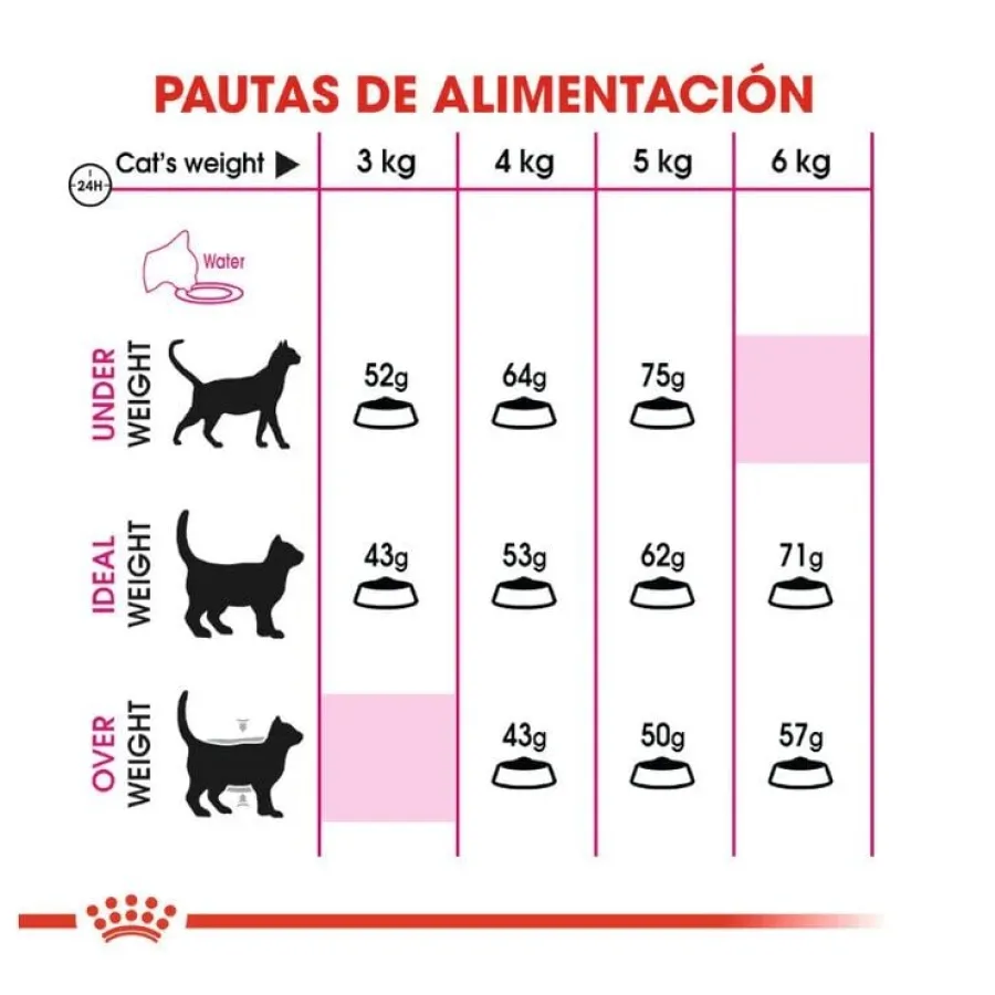 Royal Canin Adult Exigent Protein pienso para gatos Online