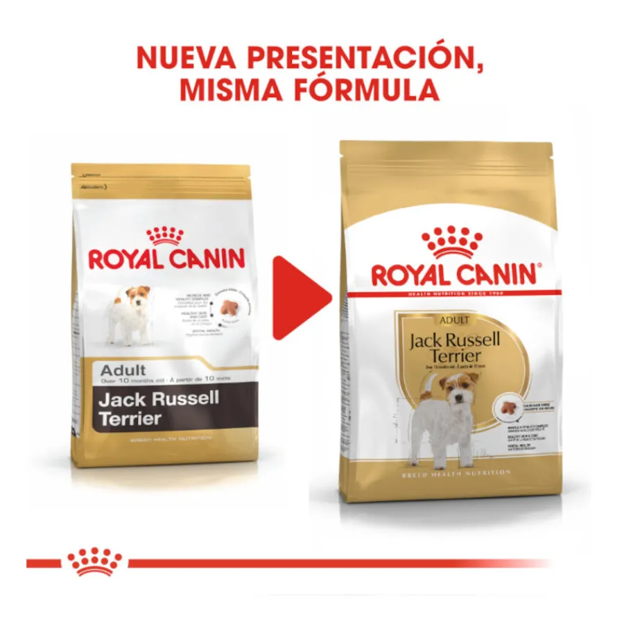 Royal Canin Adult Jack Russell Terrier pienso para perros Discount