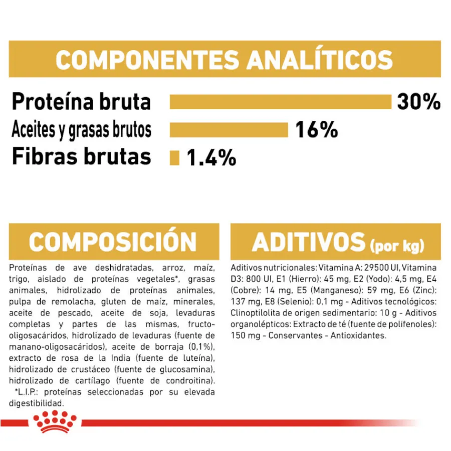 Royal Canin Adult Jack Russell Terrier pienso para perros Discount