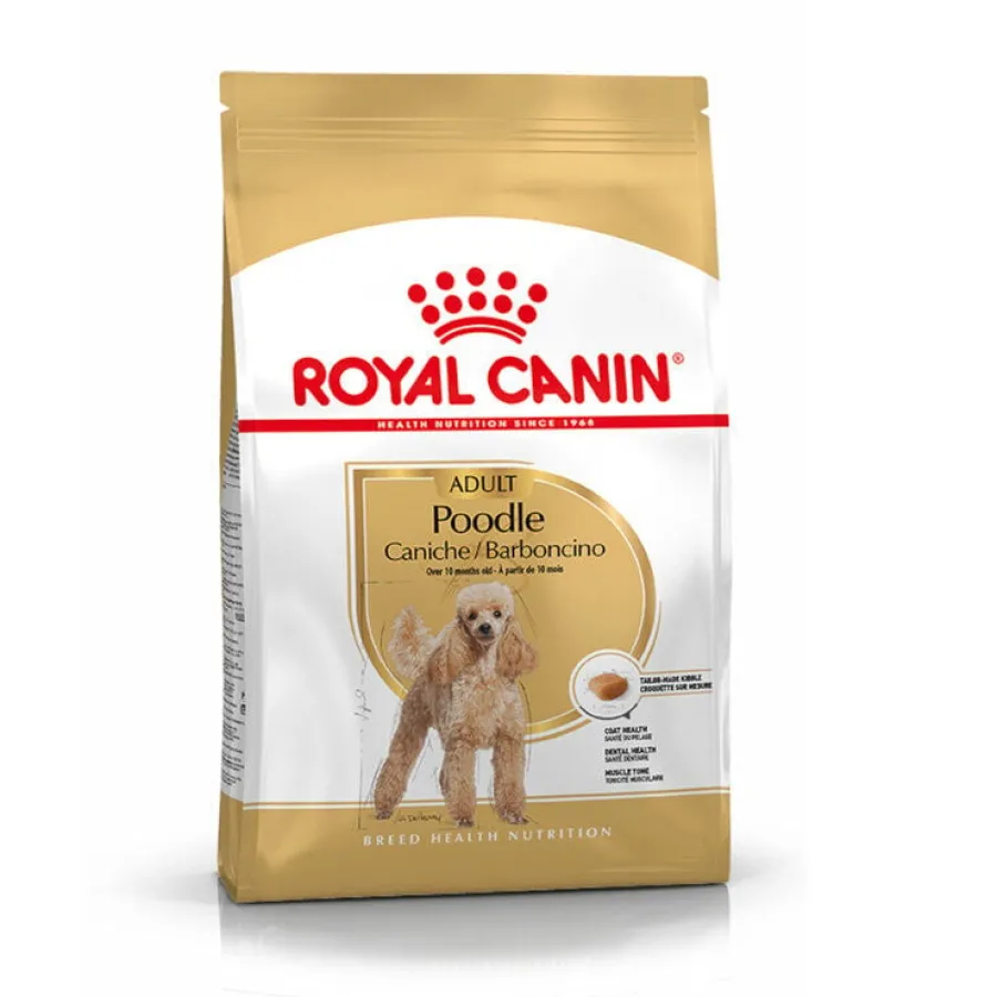 Royal Canin Adult Poodle pienso para perros Hot